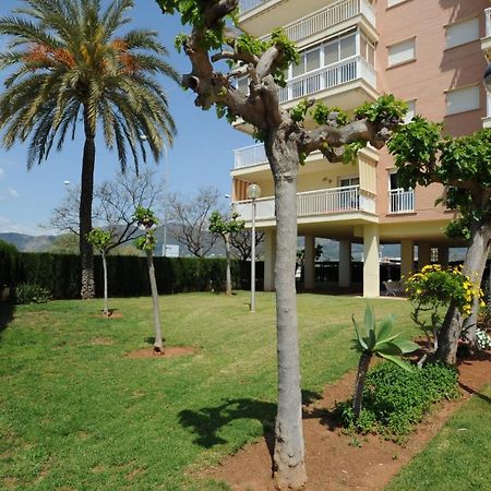 Playasol Orangecosta 1 Dormitorio Benicàssim Buitenkant foto